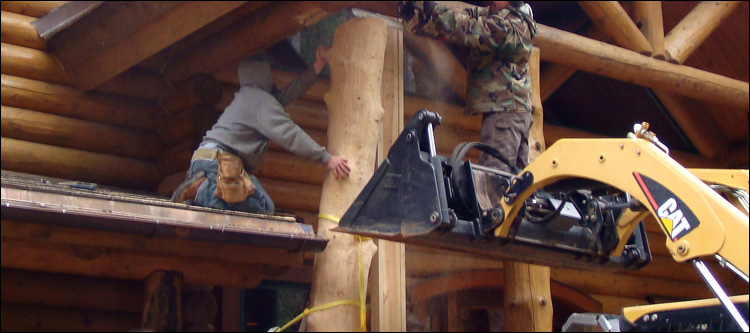 Log Home Log Replacement  Auglaize County, Ohio